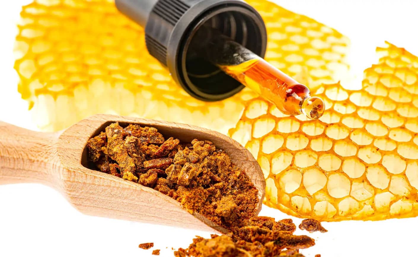 propolis kit pszczeli